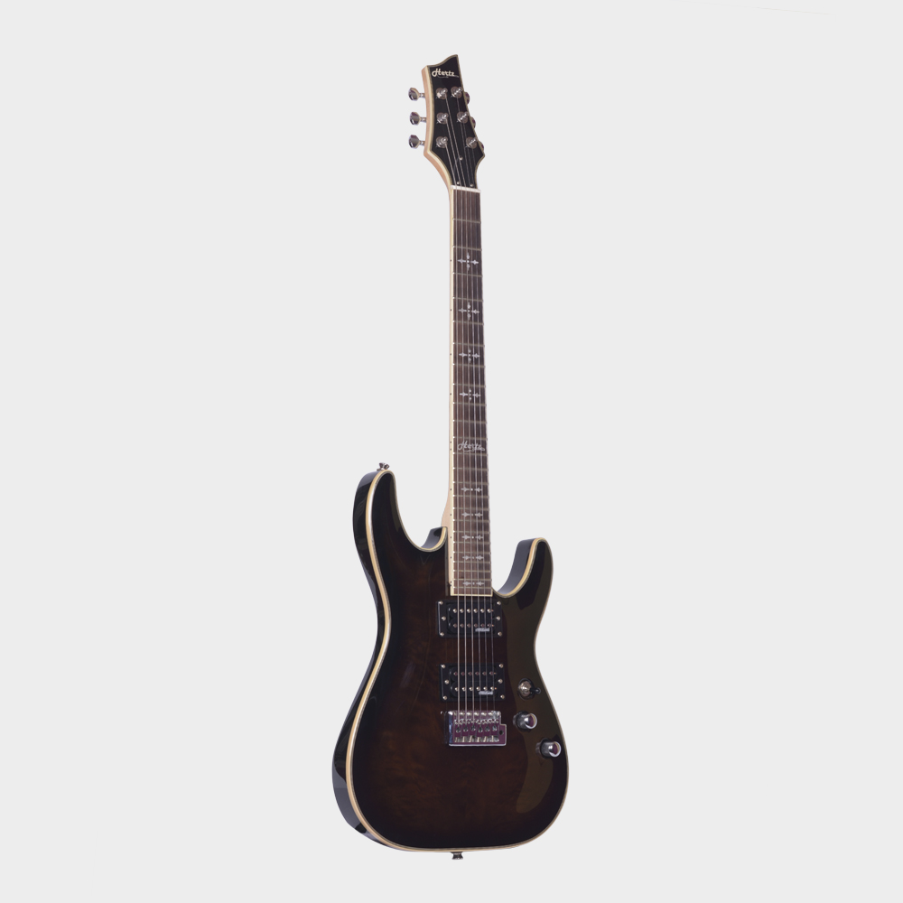 Hertz electric 2024 guitar price